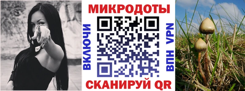 Псилоцибиновые грибы Cubensis  Ижевск 