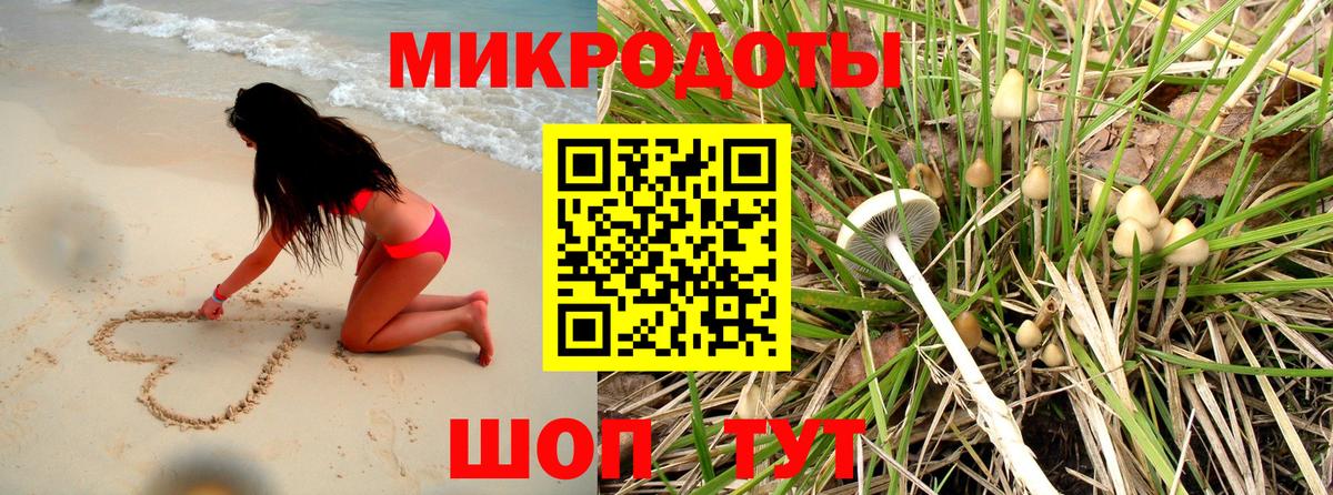 Псилоцибиновые грибы прущие грибы  что такое   Ижевск 